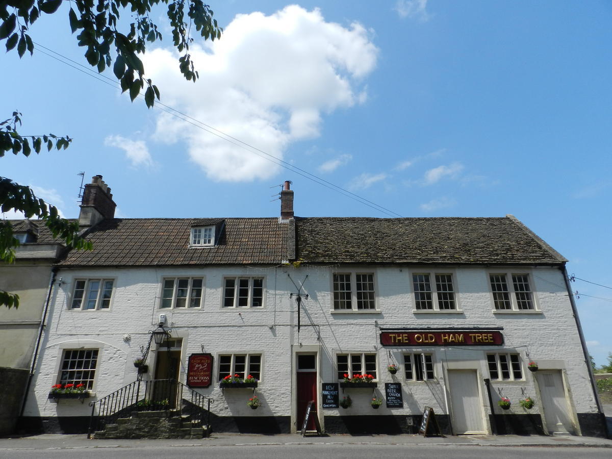 The Old Ham Tree Hotell Holt  Exteriör bild